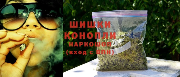 гидра Каменногорск