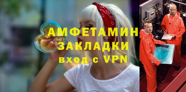 гидра Каменногорск