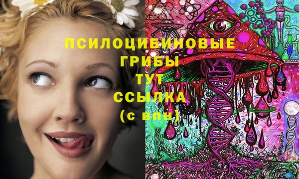 дживик Балахна